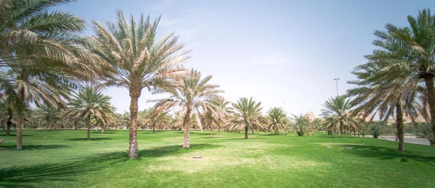 Al Shuwaymah